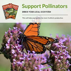 Butterfly Pollinator Seed Mixture