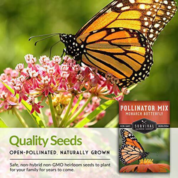 Butterfly Pollinator Seed Mixture