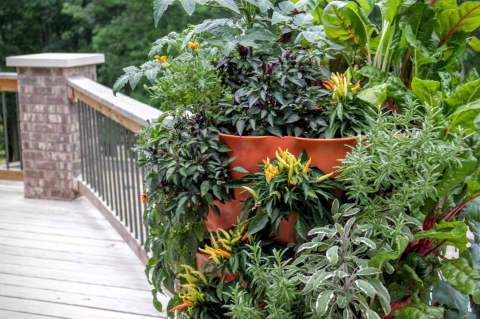 The Garden Tower: The Ultimate Vertical Gardening System