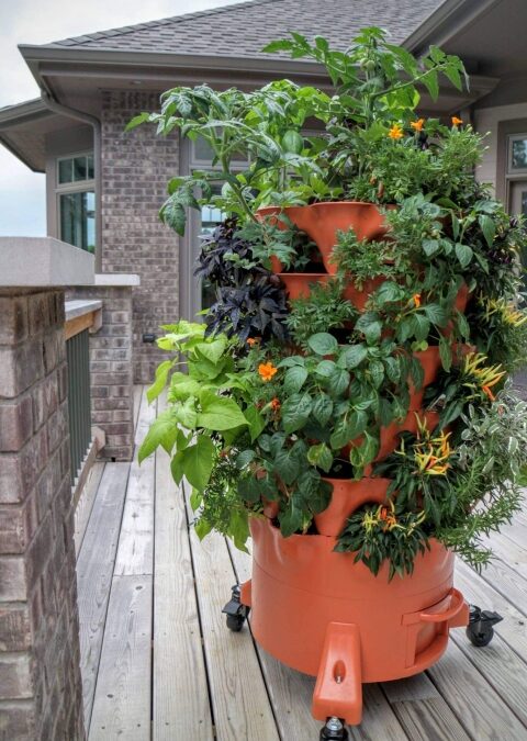 Grow 50 Plants in 4 Square Feet – No Bending Required