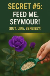 Secret #5: Feed Me, Seymour! (But, Like, Sensibly)