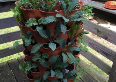 apartment vegetable gardening system