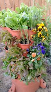 Grow Your Own: Top Container Garden Ideas for Vegetables & Herbs 6 Garden Tower