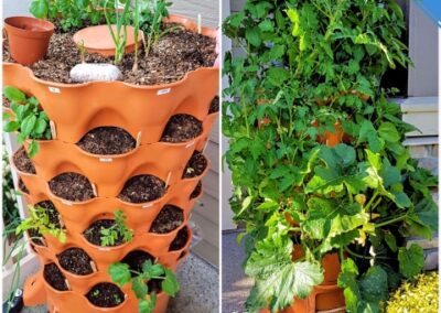 apartment vegetable gardening system