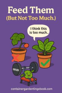 How To Get Fresh Vegetables In An Apartment Pinterest 8 Feed Them (But Not Too Much)