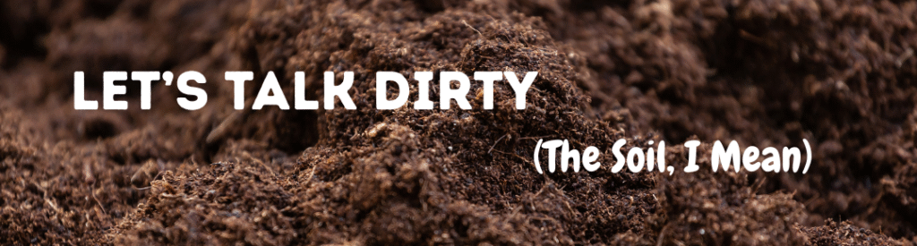 Budget-Friendly Container Gardening: 7+ Amazing Hacks! 2 Let’s Talk Dirty (The Soil, I Mean)