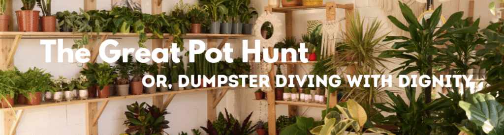 Budget-Friendly Container Gardening: 7+ Amazing Hacks! 1 The Great Pot Hunt: Or, Dumpster Diving with Dignity