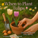 When to Plant Tulips in Containers: 5 Secrets for Amazing Blooms When to Plant Tulips