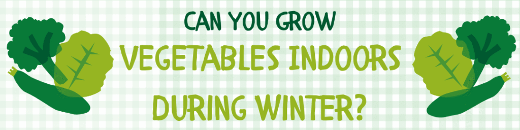 Can You Grow Vegetables Indoors During Winter