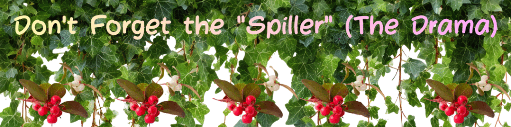 Don't Forget the Spiller (The Drama)
