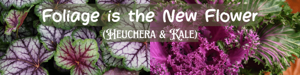 Foliage is the New Flower (Heuchera & Kale)