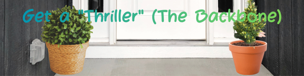 Get a Thriller (The Backbone)