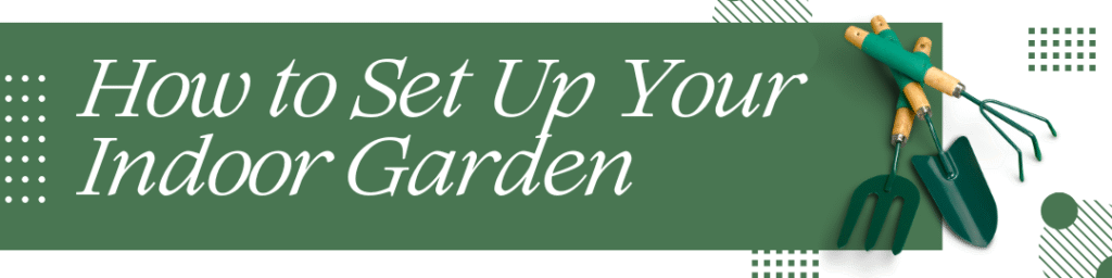 How to Set Up Your Indoor Garden