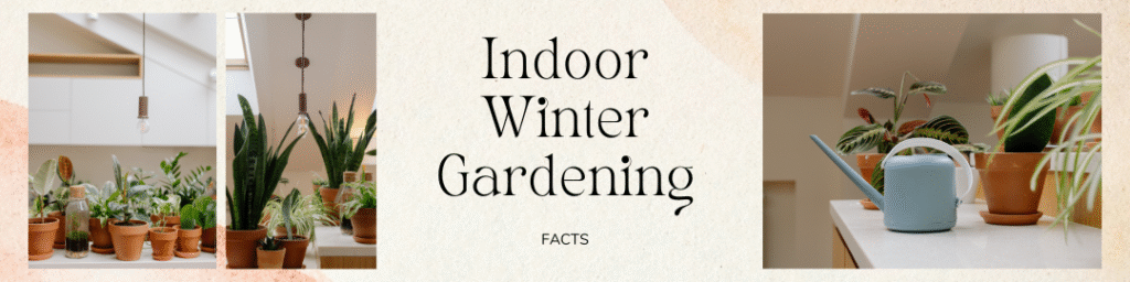 Indoor Winter Gardening