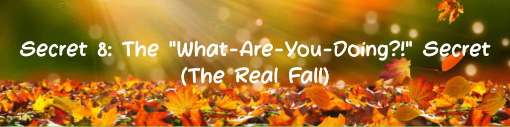Secret 8: The "What-Are-You-Doing?!" Secret (The Real Fall)