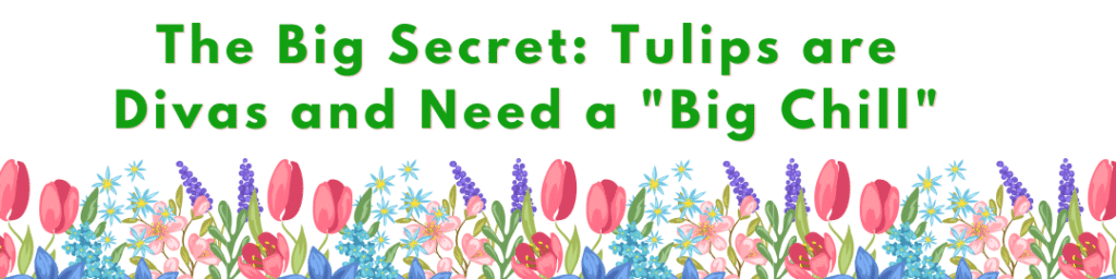 When to Plant Tulips in Containers: 5 Secrets for Amazing Blooms 1 The Big Secret: Tulips are Divas and Need a "Big Chill"