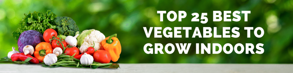 Top 25 Best Vegetables to Grow Indoors