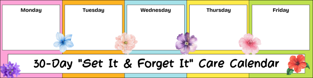 30-Day Set It & Forget It Care Calendar