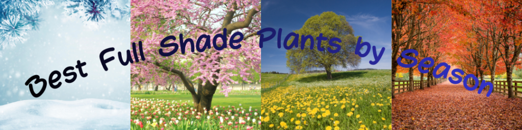 Full Shade Plants: 25 Best Picks for Lush Container Gardens & Small Spaces 2 Best Full Shade Plants by Season