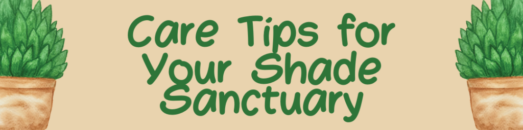 Full Shade Plants: 25 Best Picks for Lush Container Gardens & Small Spaces 3 Care Tips for Your Shade Sanctuary