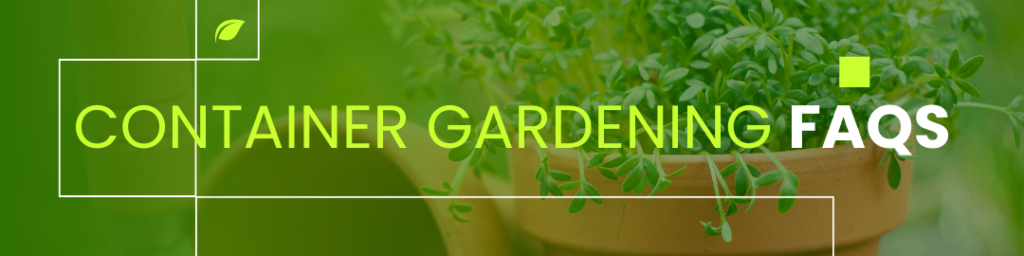 CONTAINER GARDENING FAQs