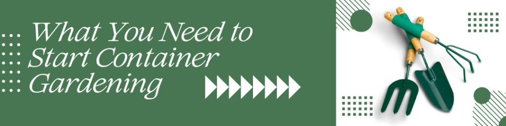 What You Need to Start Container Gardening