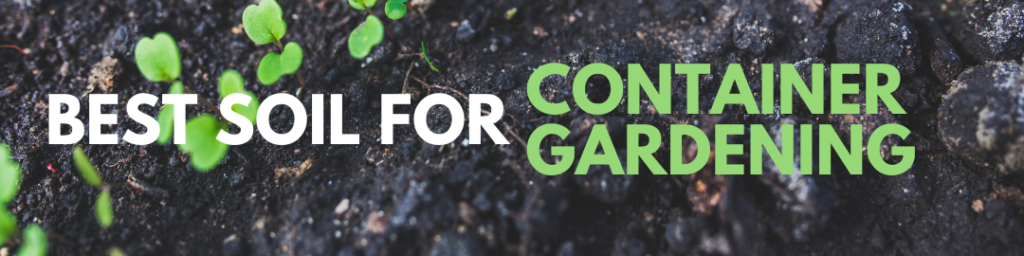 Best Soil for Container Gardening