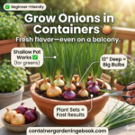 Grow Onions in Containers