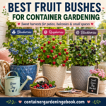 Best Fruit Bushes for Container Gardening: 10 Dwarf Shrubs for Massive Patio Harvests (2026 Guide) Best Fruit Bushes for Container Gardening